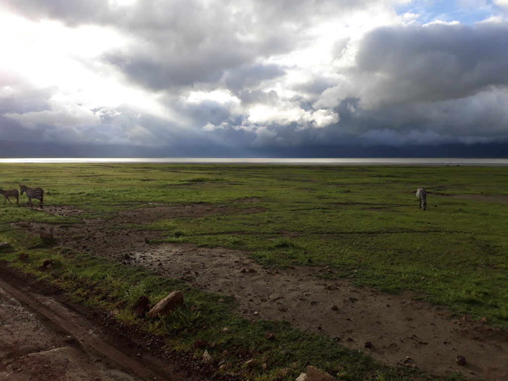 Kráter Ngorongoro a útok orla na náš oběd